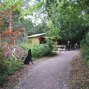 View of Wolf viewing hide