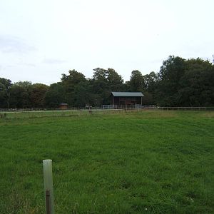 View of the African Paddock