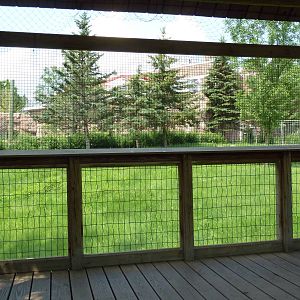 Chinese Goral/White-Naped Crane Exhibit