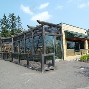 Primate Conservation Center - Allen's Swamp Monkey Exhibit