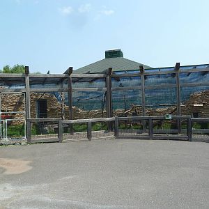 Primate Conservation Center - Allen's Swamp Monkey Exhibit
