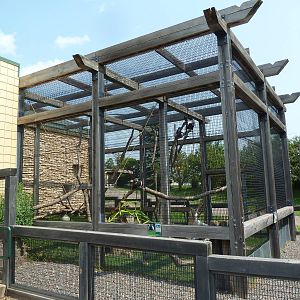 Primate Conservation Center - Angolan Colobus Monkey Exhibit