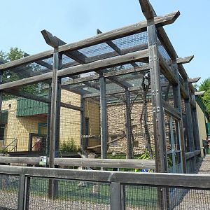 Primate Conservation Center - Angolan Colobus Monkey Exhibit