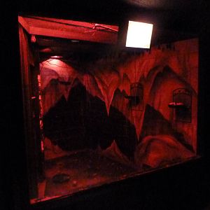 Nocturnal House - Short-Tailed Fruit Bat Exhibit