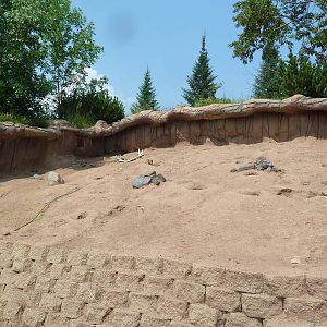 Black-Tailed Prairie Dog Exhibit