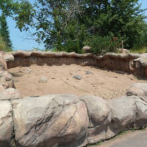 Black-Tailed Prairie Dog Exhibit