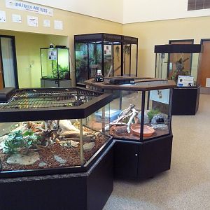 Education + Conservation Center - Assorted Terrariums