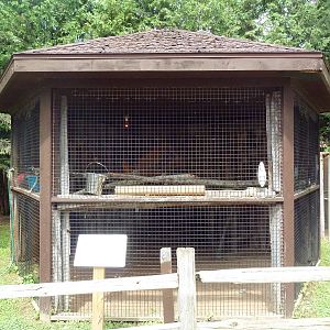 Military Macaw Exhibit