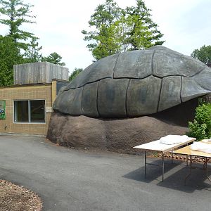 Aldabra Tortoise Exhibit - Indoor Viewing