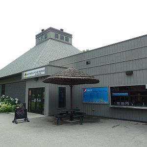 Restaurant - Mayan Taste of the Tropics