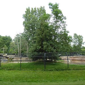 Wisconsin Trails - North American River Otter Exhibit