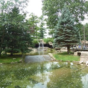 Wisconsin Trails - North American River Otter Exhibit - Gorgeous!
