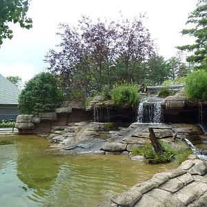 Wisconsin Trails - North American River Otter Exhibit