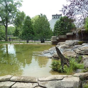 Wisconsin Trails - North American River Otter Exhibit