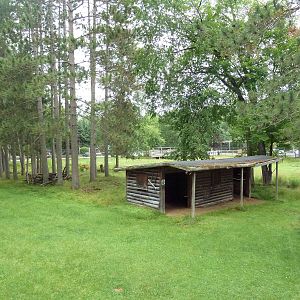Wisconsin Trails - White-Tailed Deer/Wild Turkey Exhibit