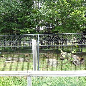 Wisconsin Trails - Red Fox Exhibit
