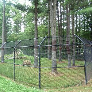Wisconsin Trails - Cougar Exhibit