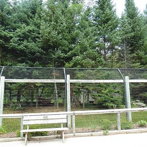 Wisconsin Trails - Bobcat Exhibit