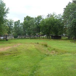 Wisconsin Trails - White-Tailed Deer/Wild Turkey Exhibit