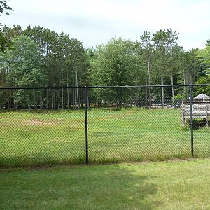 Wisconsin Trails - White-Tailed Deer/Wild Turkey Exhibit
