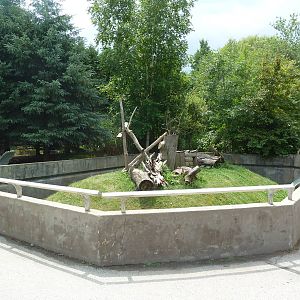 Wisconsin Trails - North American Porcupine Exhibit