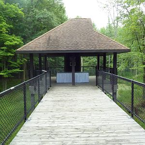 Northern Trail - Moose Exhibit Viewing Platform