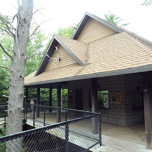 Northern Trail - Moose Exhibit Viewing Platform