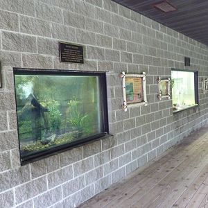 Northern Trail - Viewing Platform - Assorted Exhibits