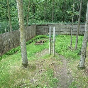 Northern Trail - Moose Exhibit (1 of 3 Moose yards)