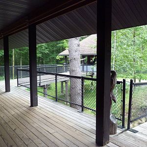 Northern Trail - Moose Exhibit Viewing Platform
