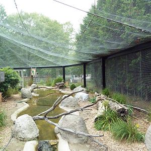 Wisconsin Trails - Walk-Through Aviary