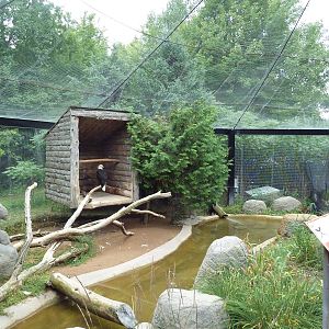 Wisconsin Trails - Walk-Through Aviary