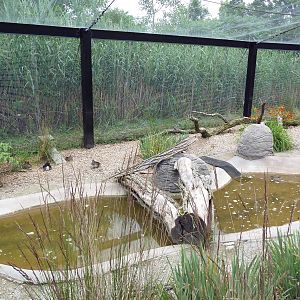 Wisconsin Trails - Walk-Through Aviary