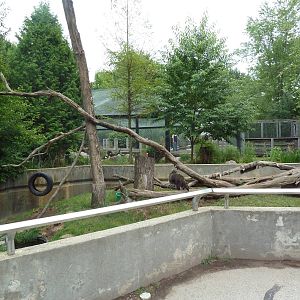 Wisconsin Trails - Raccoon Exhibit