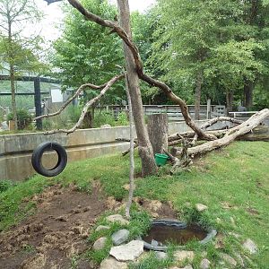 Wisconsin Trails - Raccoon Exhibit