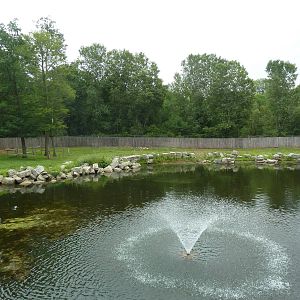 American Bison/Pronghorn Antelope Exhibit