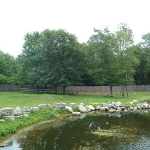 American Bison/Pronghorn Antelope Exhibit
