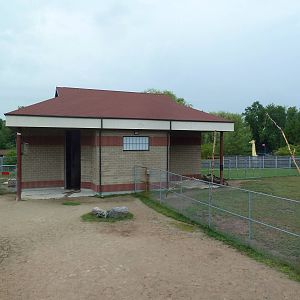 Reticulated Giraffe Exhibit