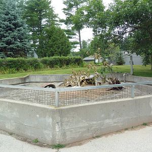 Black-Tailed Prairie Dog Exhibit