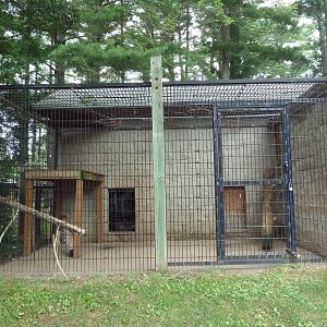 Snow Leopard Exhibit (side yard)