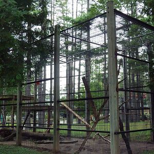 Snow Leopard Exhibit