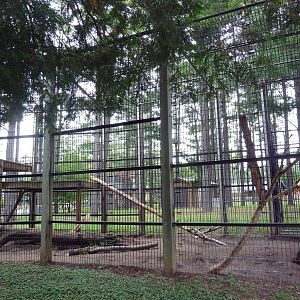 Snow Leopard Exhibit
