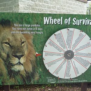 Lion Exhibit - Interactive Sign