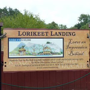 Future Plans - Lorikeet Landing