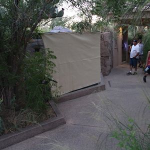 night zoo - Aug 30, 2014