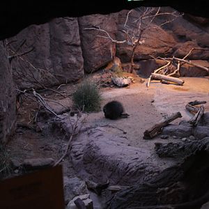 night zoo - Aug 30, 2014