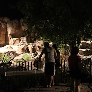 night zoo - Aug 30, 2014