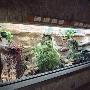 Mixed-Species Turtle Exhibit