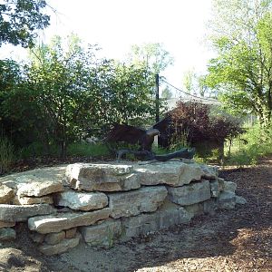 Bald Eagle Statue + Aviary