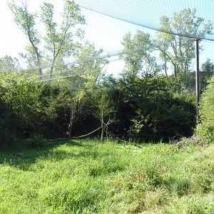0.5 Acre Bald Eagle Aviary